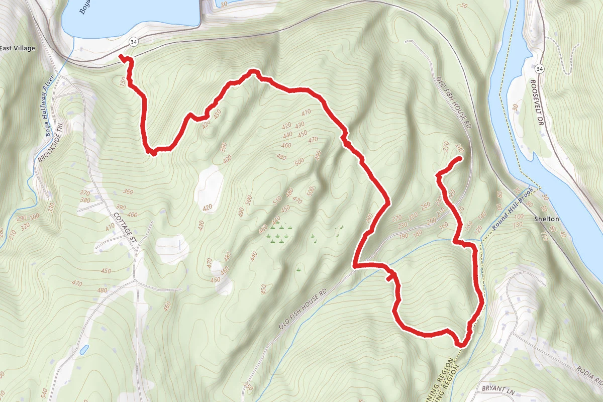 Webb Mountain via Blue Trail