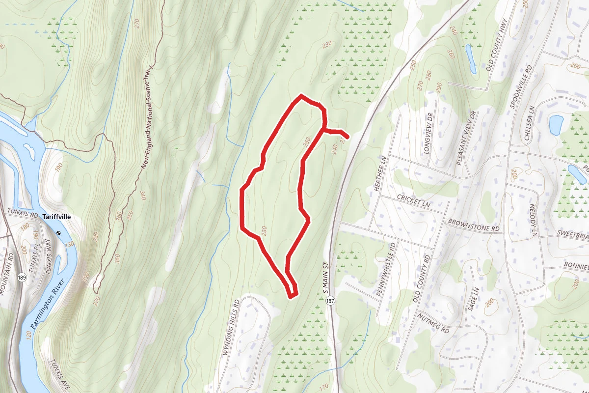Cowles Park Yellow Loop