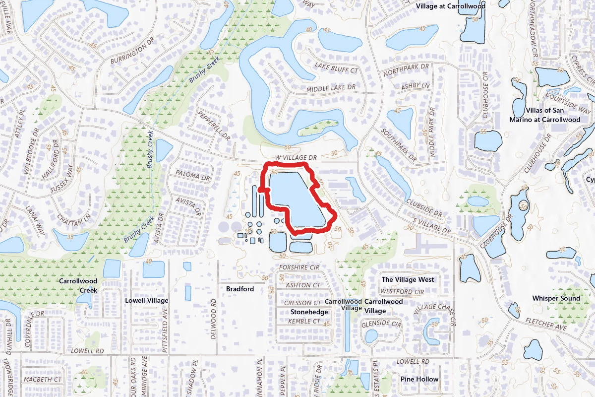 Carrollwood Pond Loop
