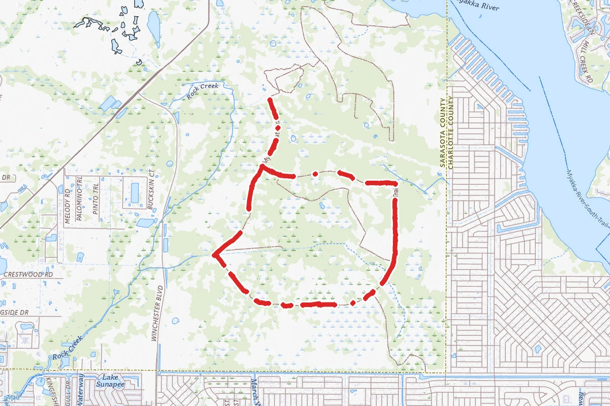 Myakka State Forest South Loop