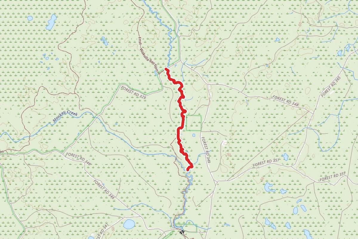Sopchoppy River via Florida Trail