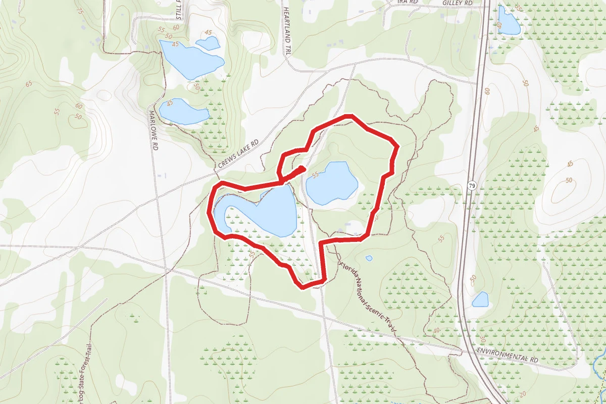 Campground Trail