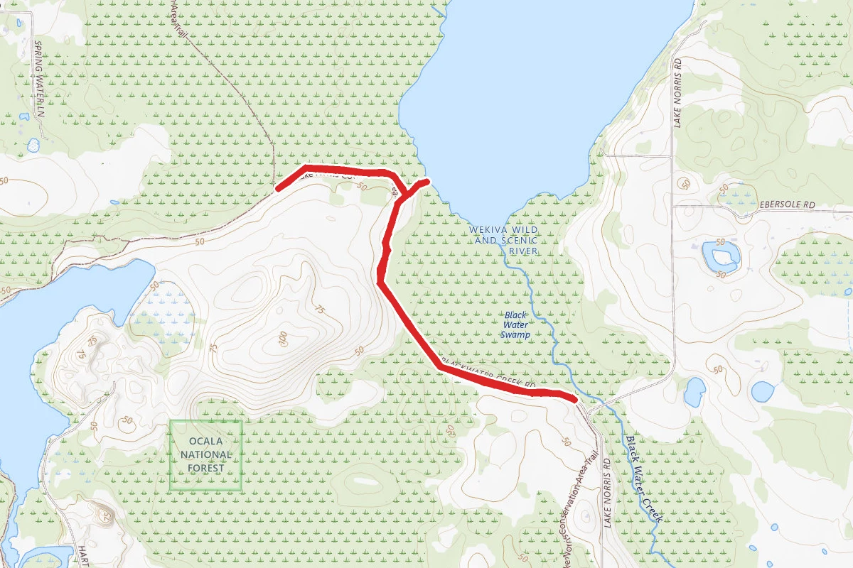 Blackwater Creek Trail