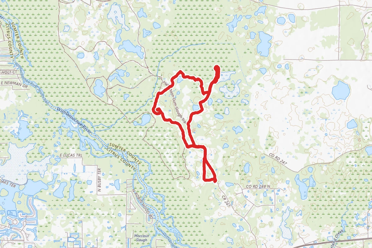Half Moon Wildlife Management White and Blue Loops