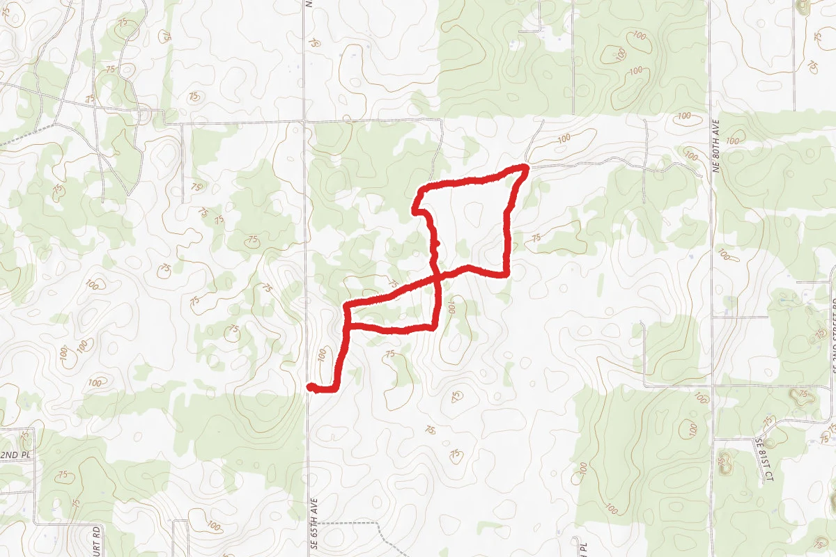 Bell Ridge Longleaf