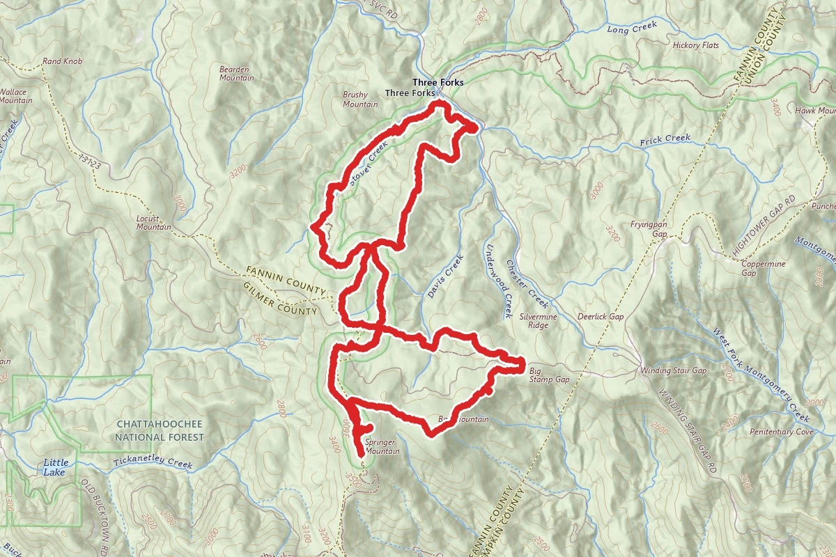 Springer Mountain Triple Loop Trail