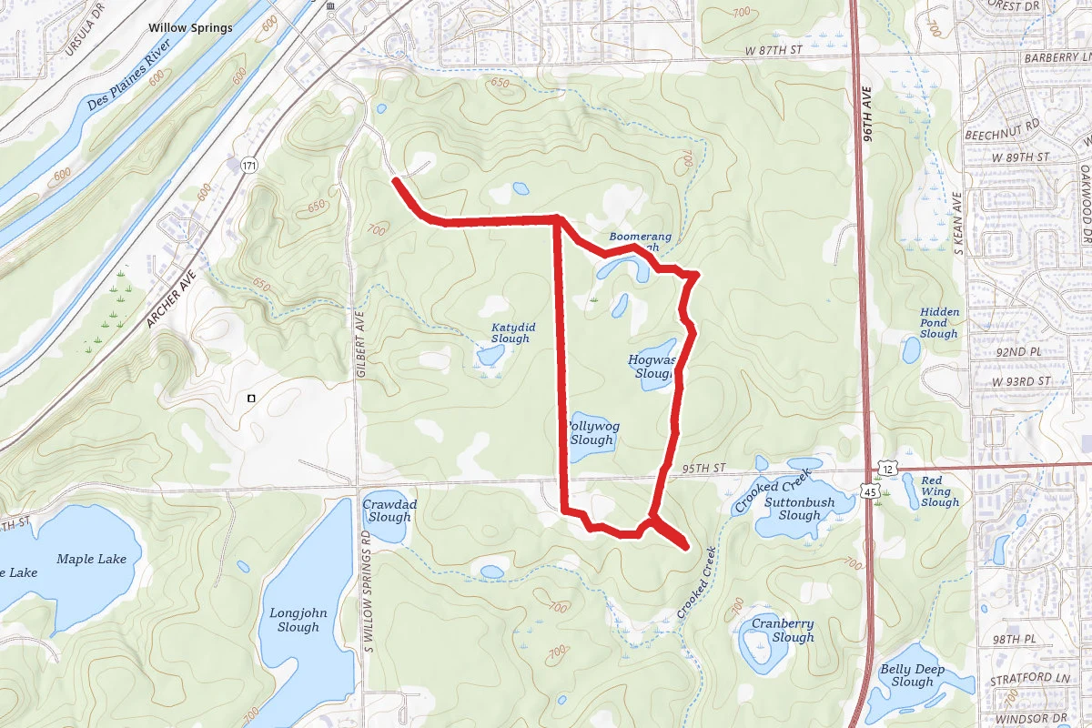 Willow Spring Woods