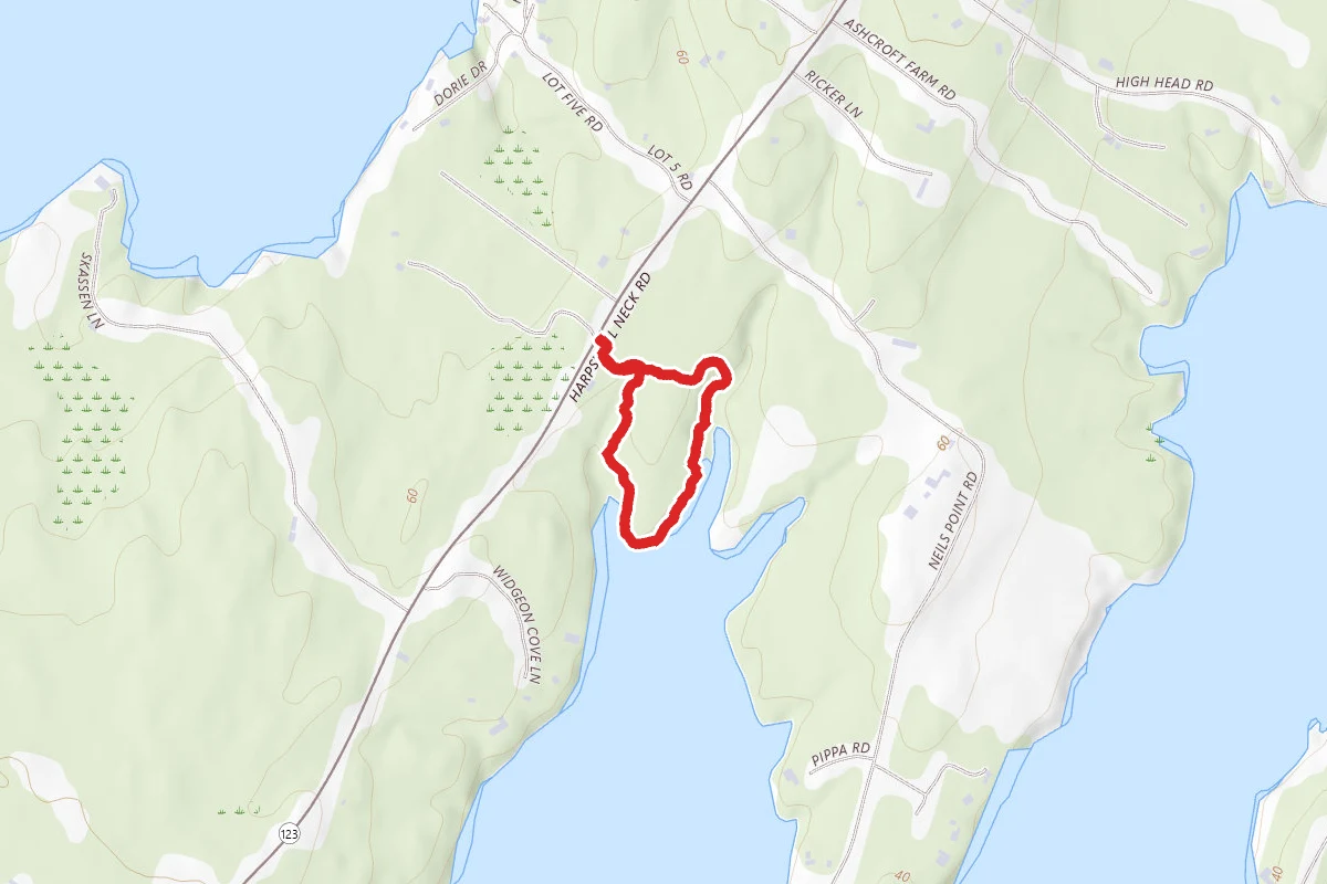 Widgeon Cove Trail
