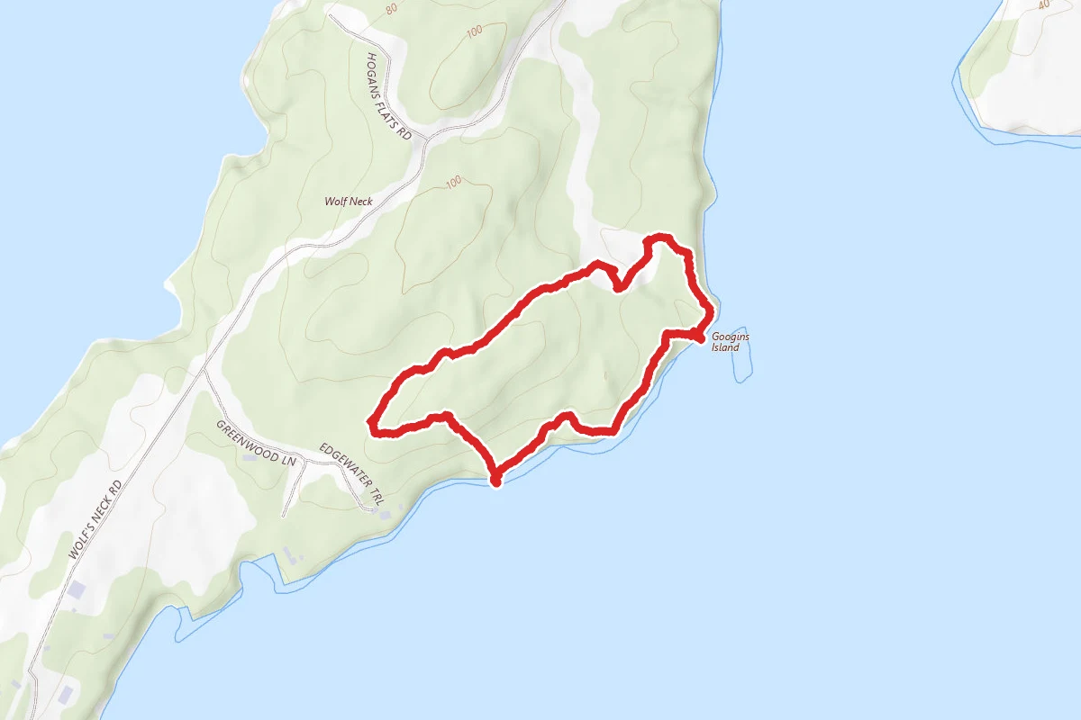 Old Woods Road, Harraseeket and White Pines Trail Loop