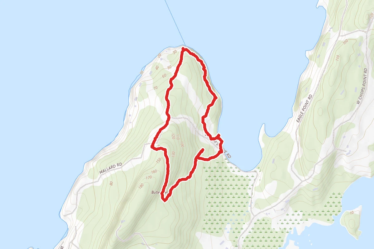 Butler Head Preserve
