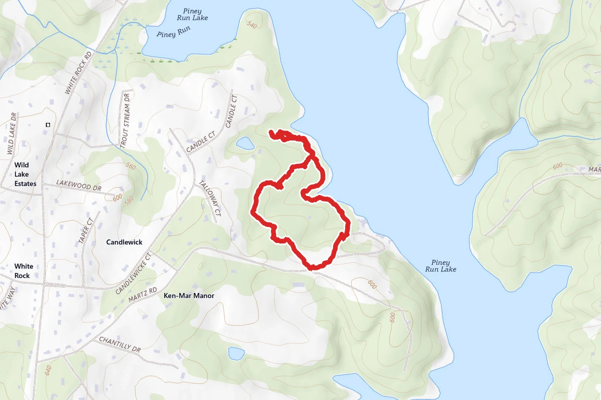 Piney Run Field Trail