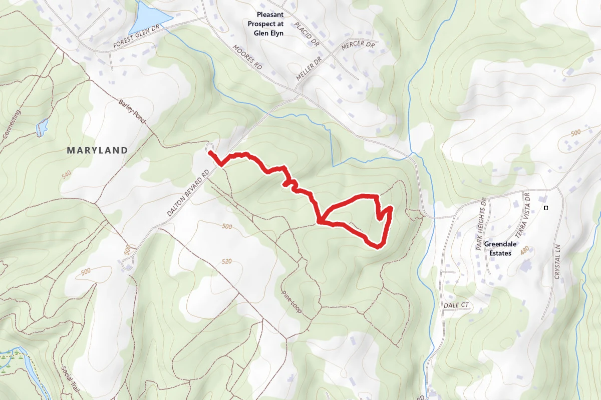 Cody Jean Green and Yellow Trail Loop