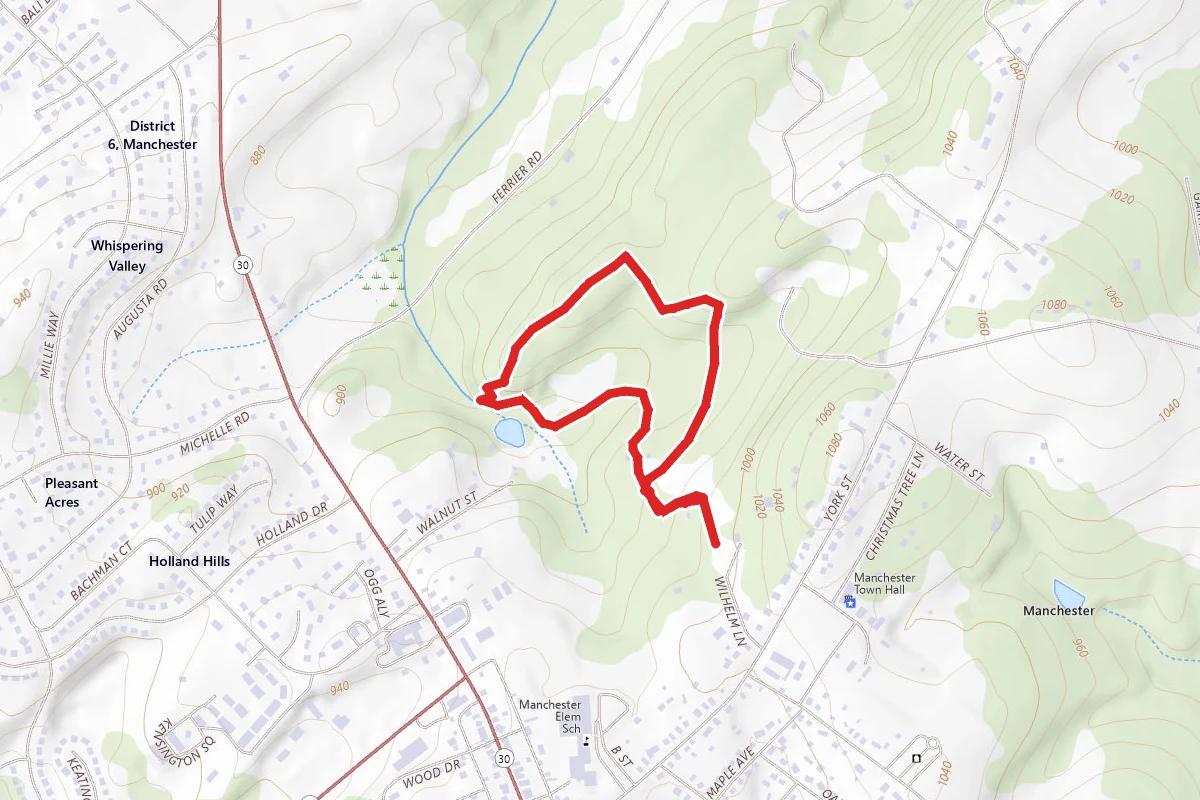 Pine Valley Park Loop