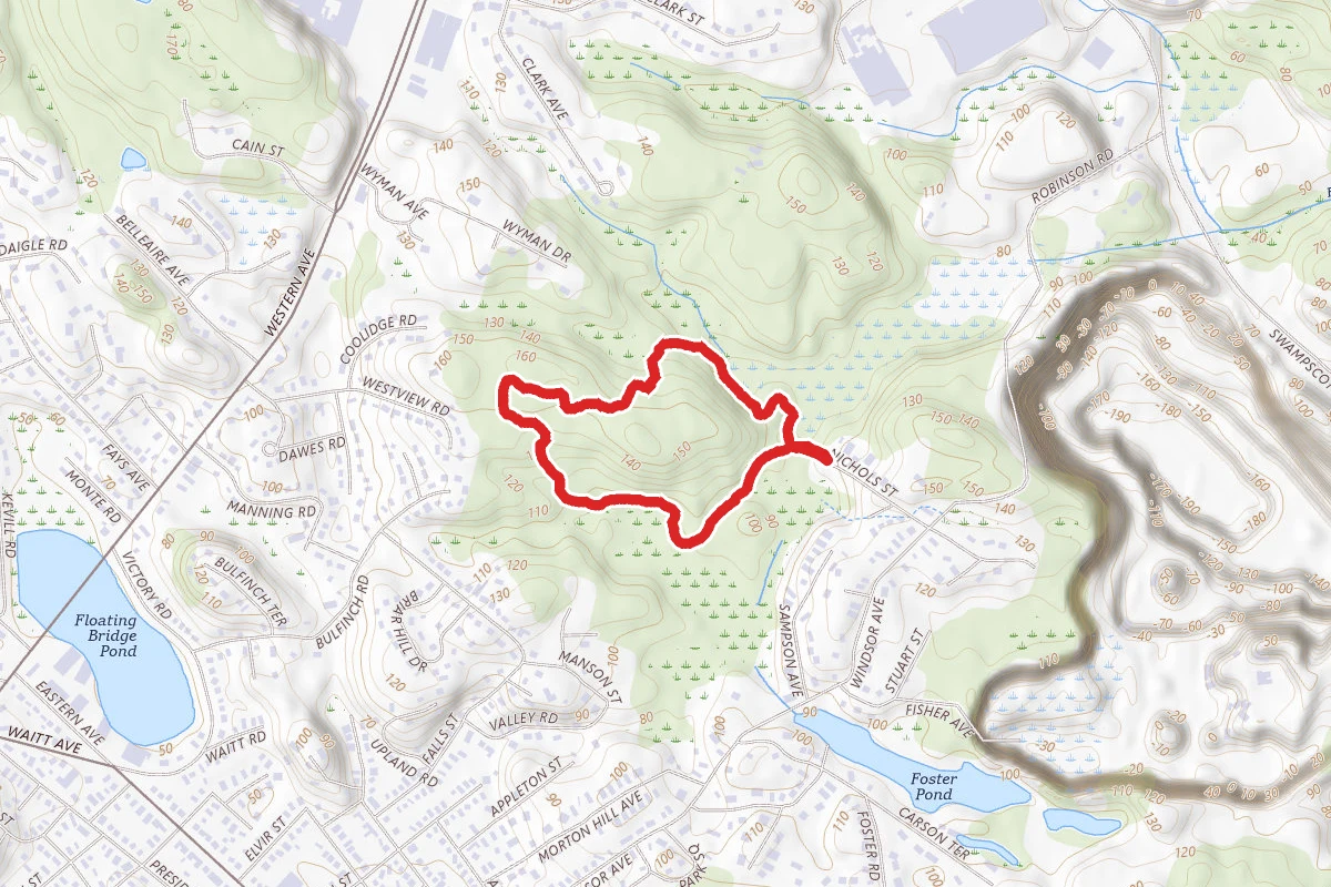 Harold King Loop
