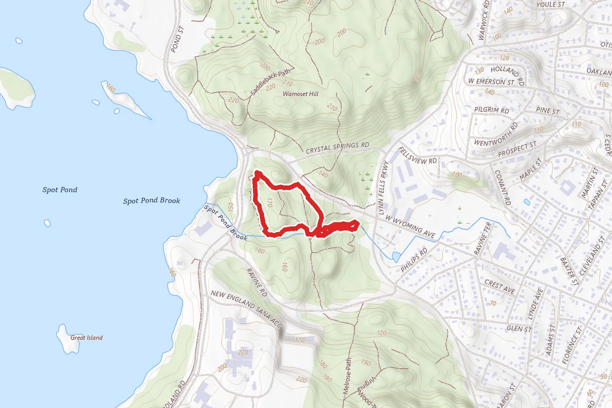 Virginia Woods and Spot Pond Brook Loop
