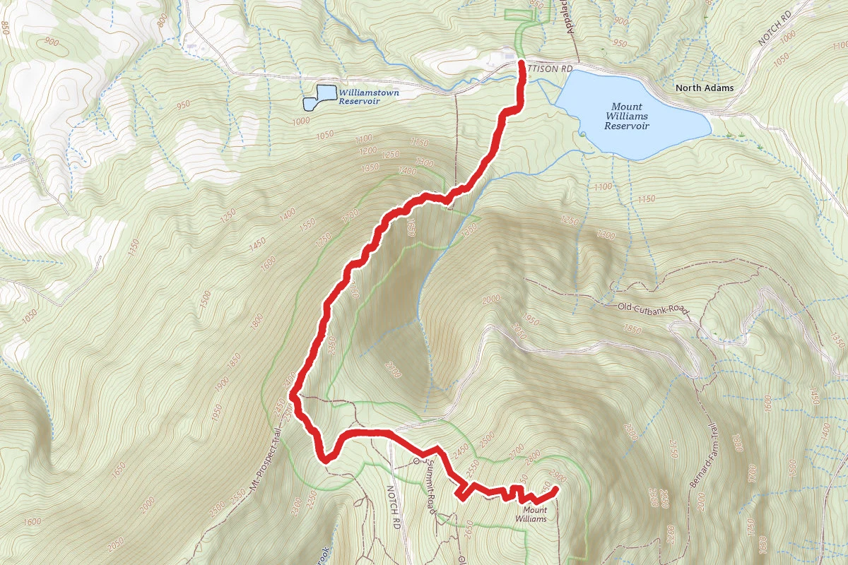 Mount Williams Trail