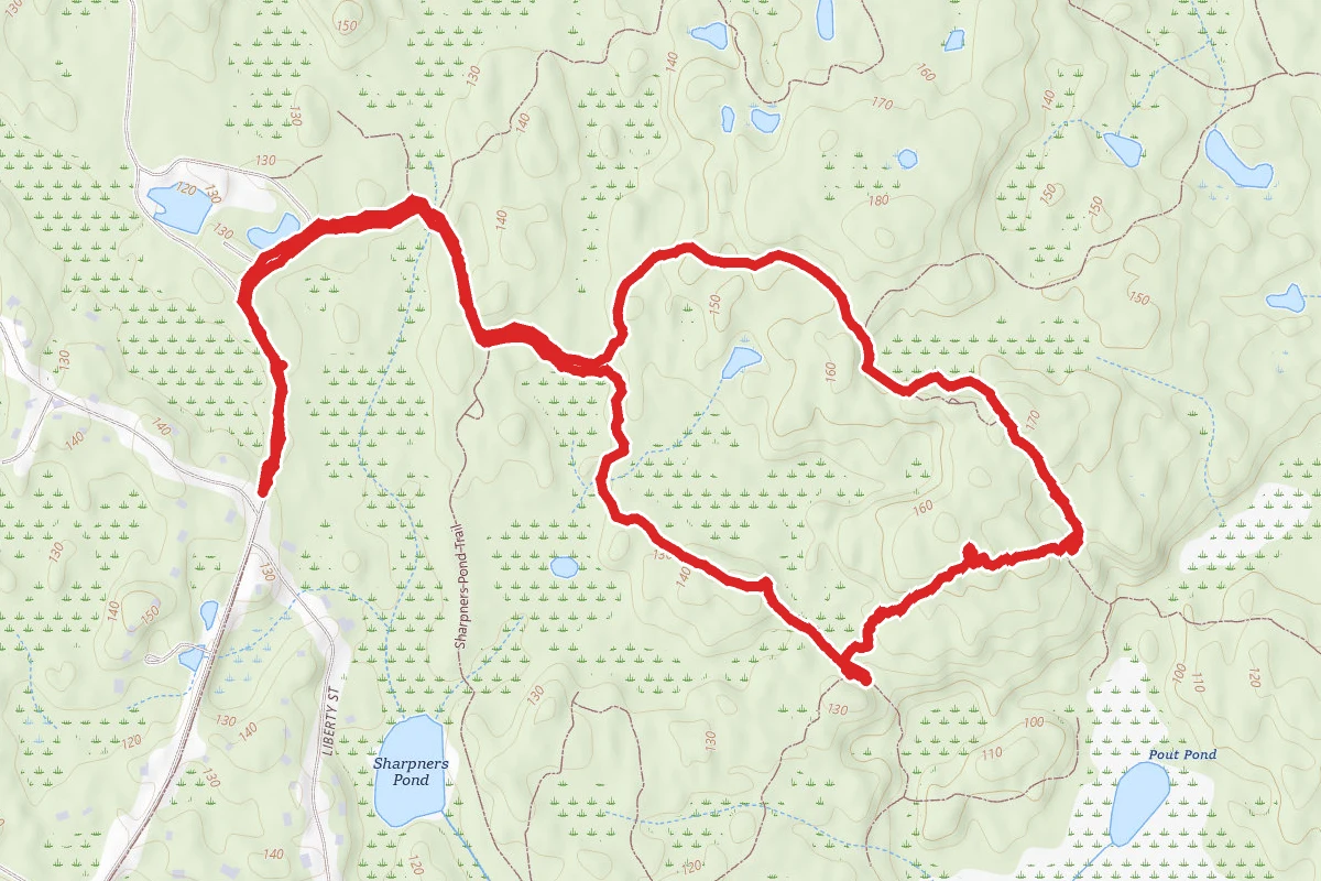 Thomas Road Loop