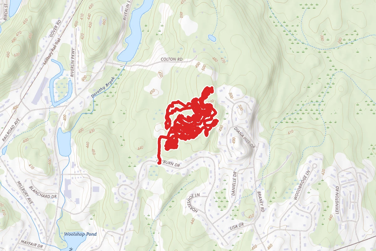 Colton Road Conservation Area MTB Loop