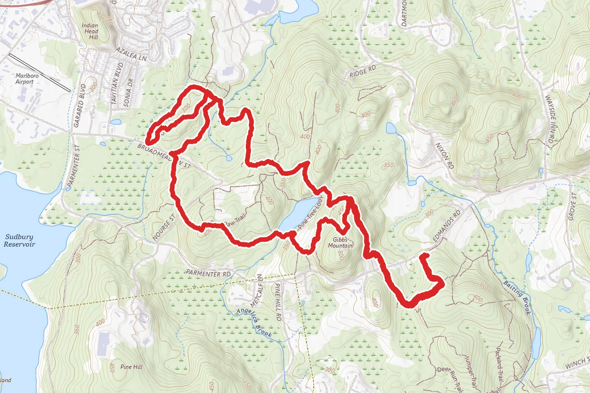 Red Tail to Bear Paw to Acorn to Backpacker Trails Loop