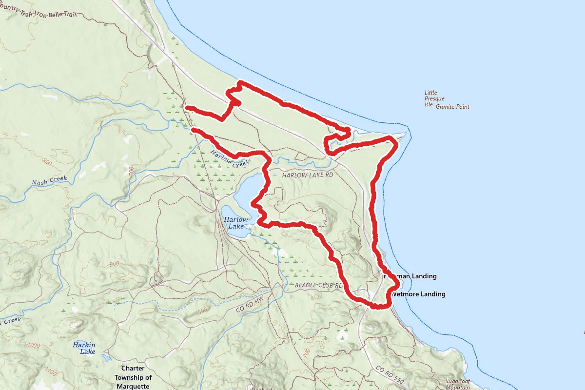 Shoreline, Red Pine, and Bareback Trails Loop