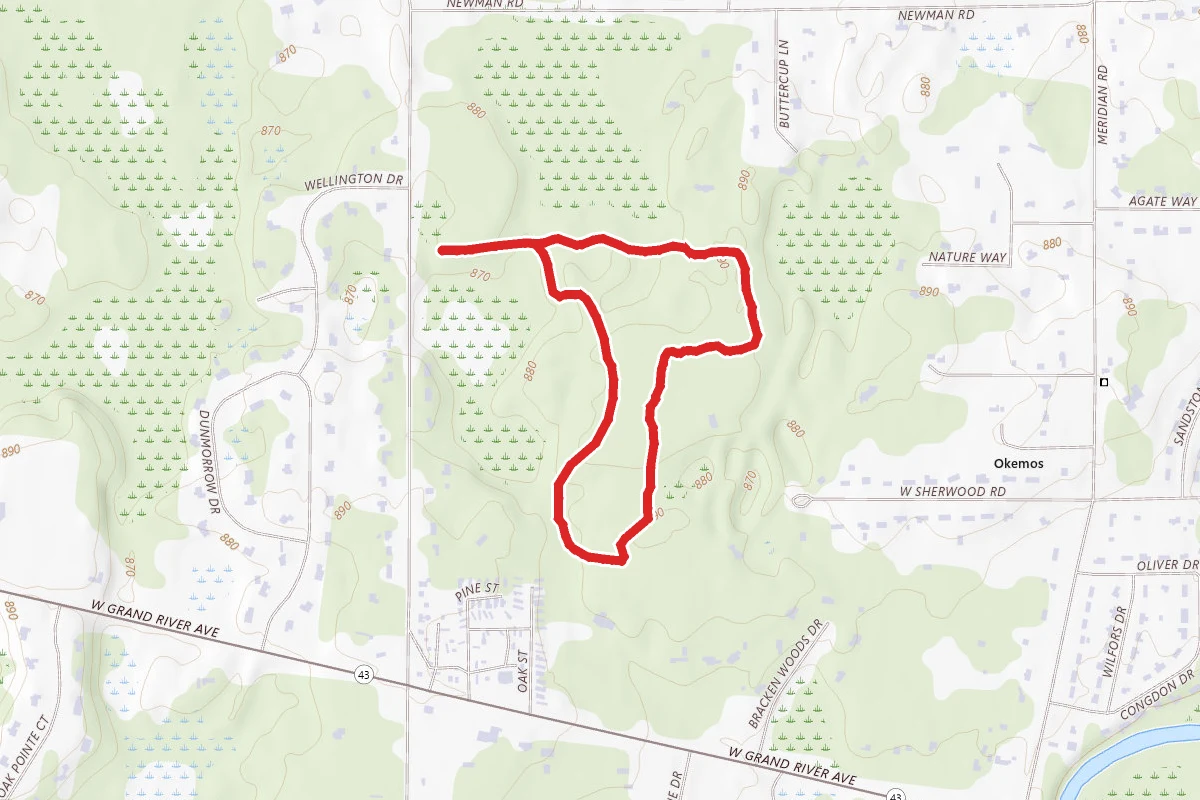 Ted Black Woods Blue Loop via Black Trail