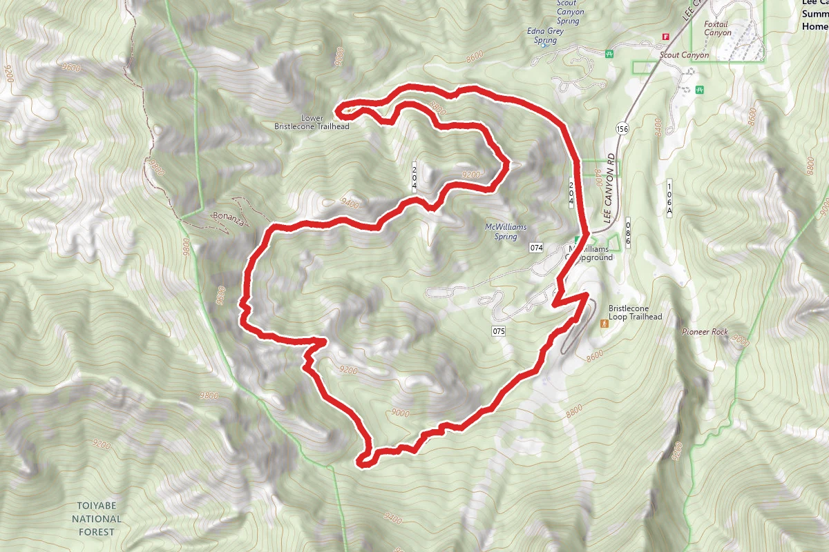 Upper and Lower Bristlecone Loop