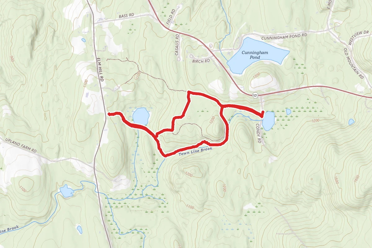 Casalis Forest Trail Loop