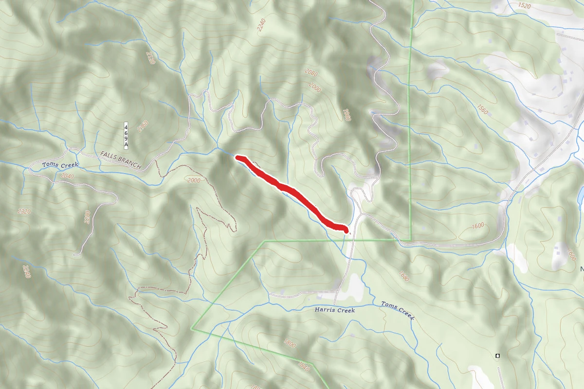 Toms Creek Falls Trail