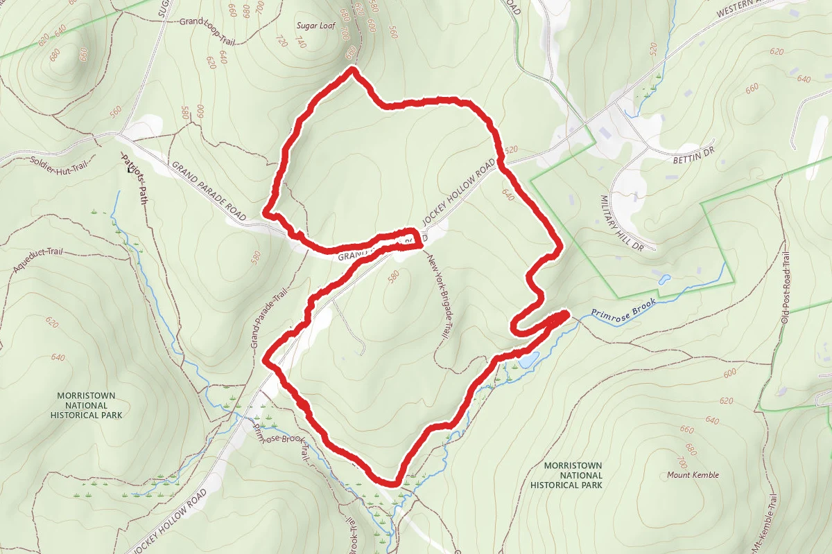 Morristown Blue, Grand Loop and Yellow Trail