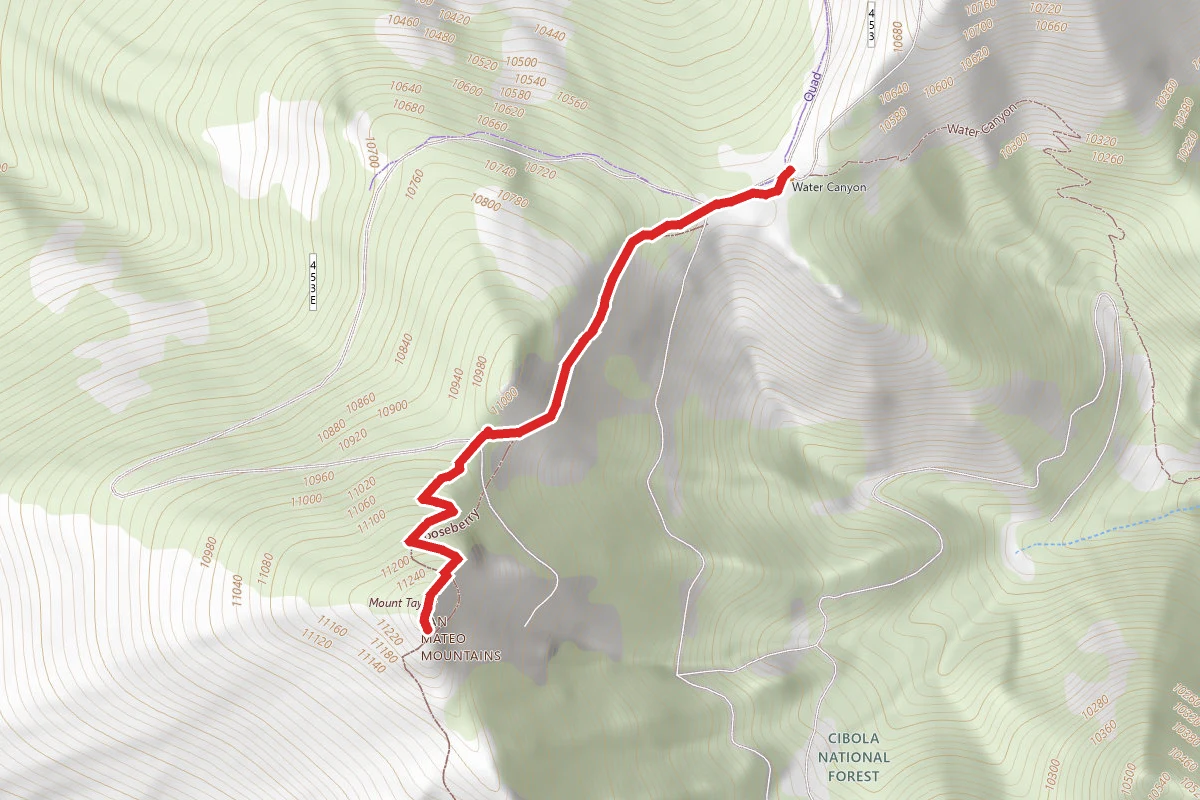 Mount Taylor via Gooseberry Trail #77