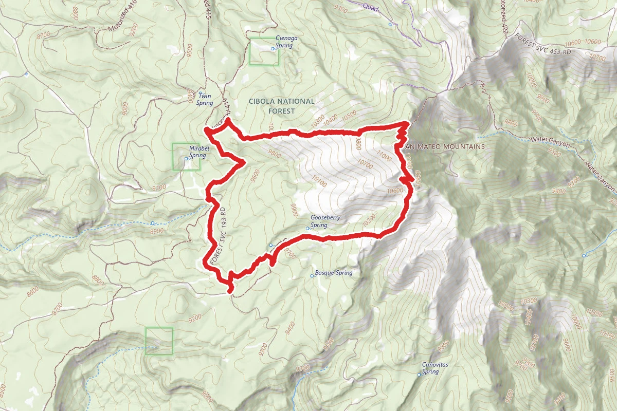 Gooseberry Springs and Mount Taylor Loop