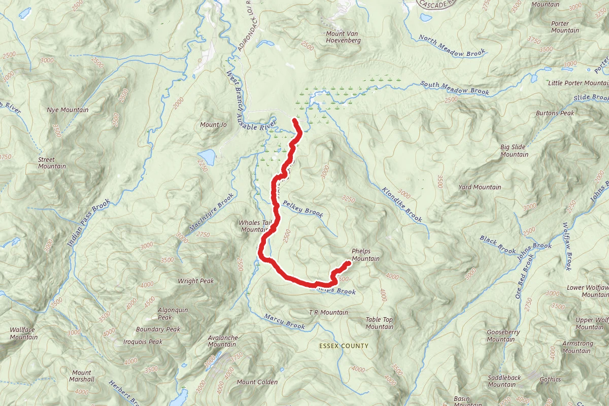 Phelps Mountain via South Meadow