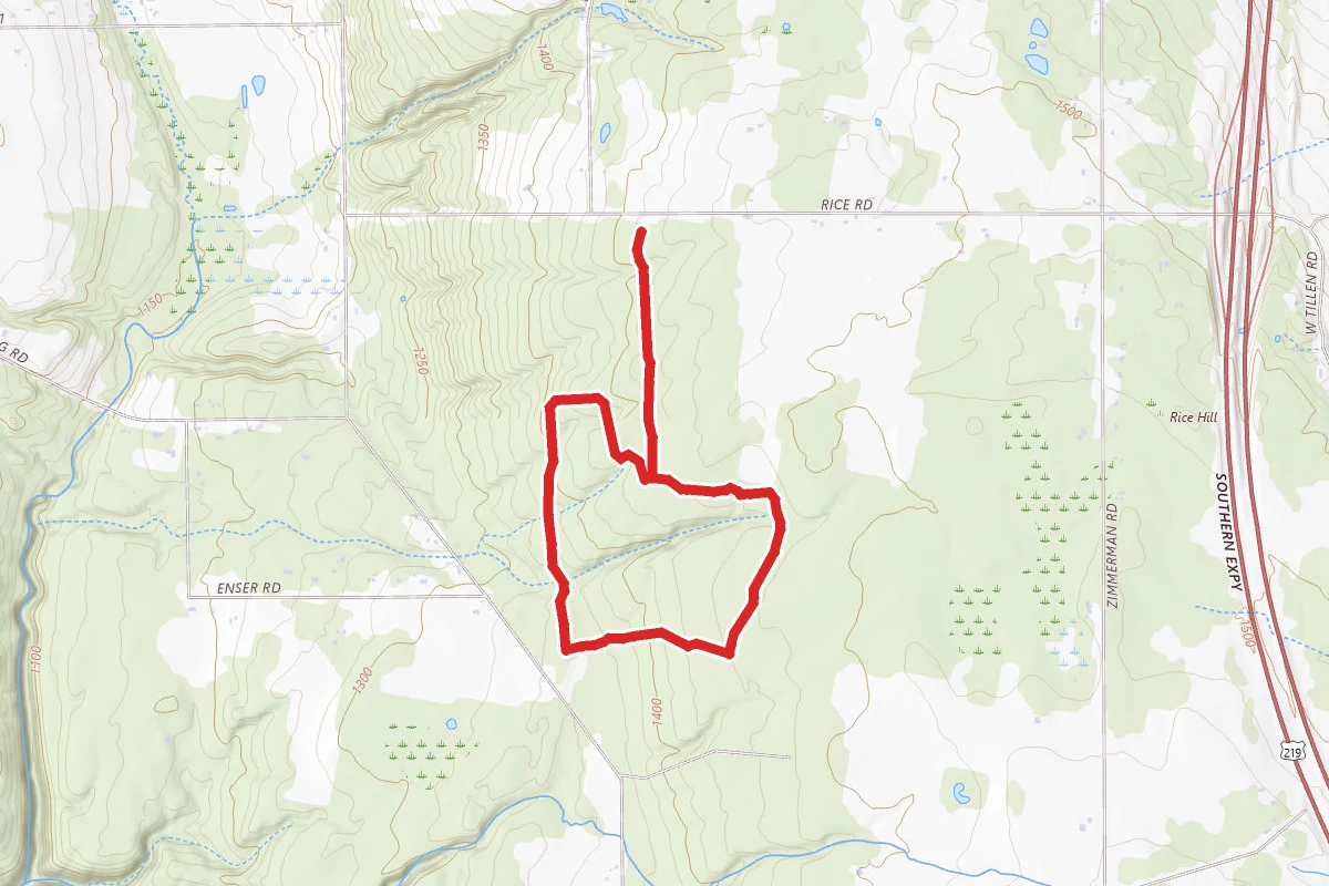 Boston Forest Trail