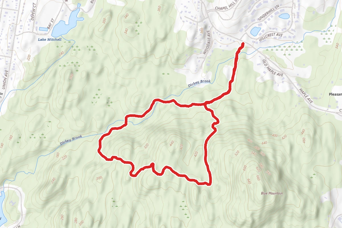Ned’s, Limbo, and Boundary Loop