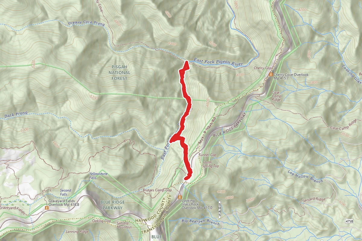 Bridges Cap Trail