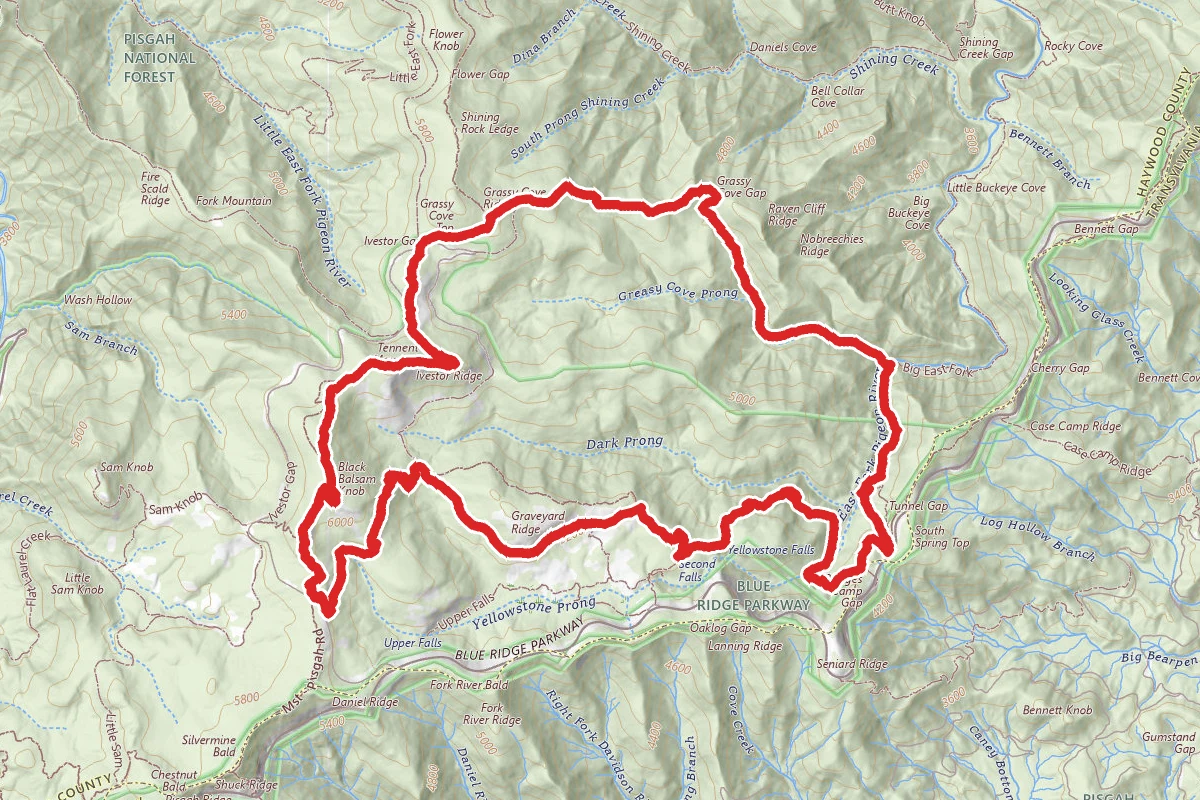 Graveyard Ridge, Greasy Cove, Art Loeb Trails to Black Balsam Knob