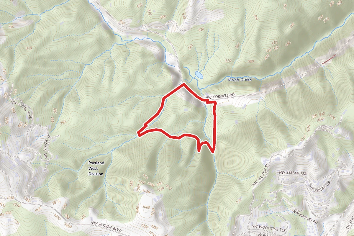 Founders Trail to Collins Trail Loop