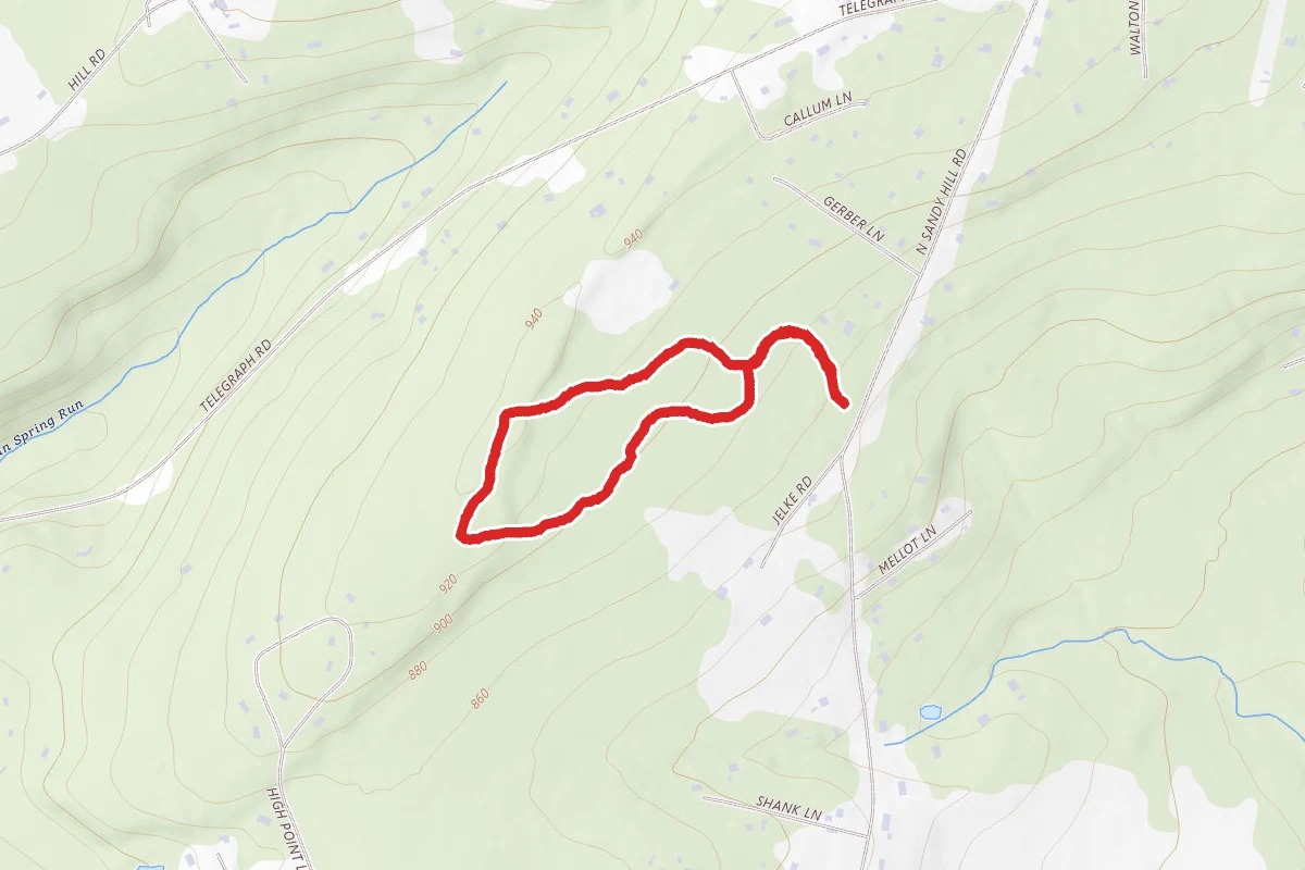 Birch Run Forest Loop