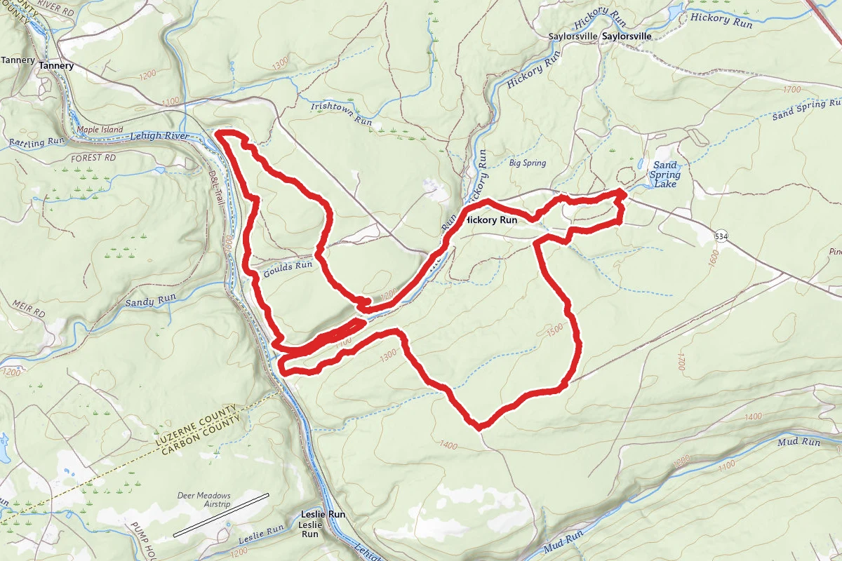 Blue Trail to Fireline Trail to Hickory Run Trail Loop