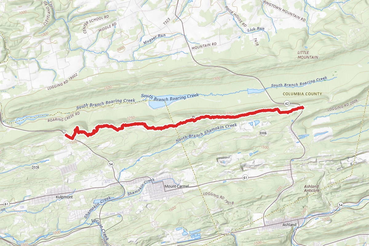 Big Mountain Trail