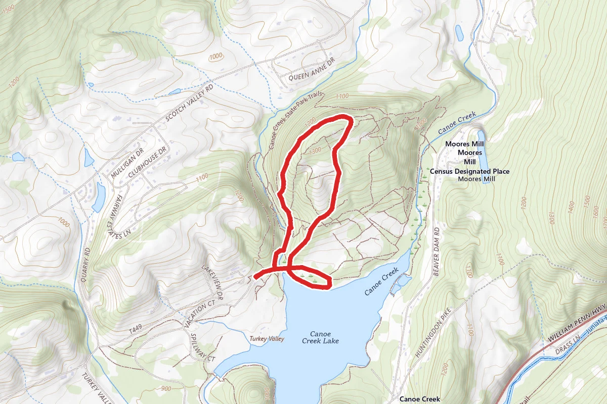 Hartman Trail to Mattern Trail