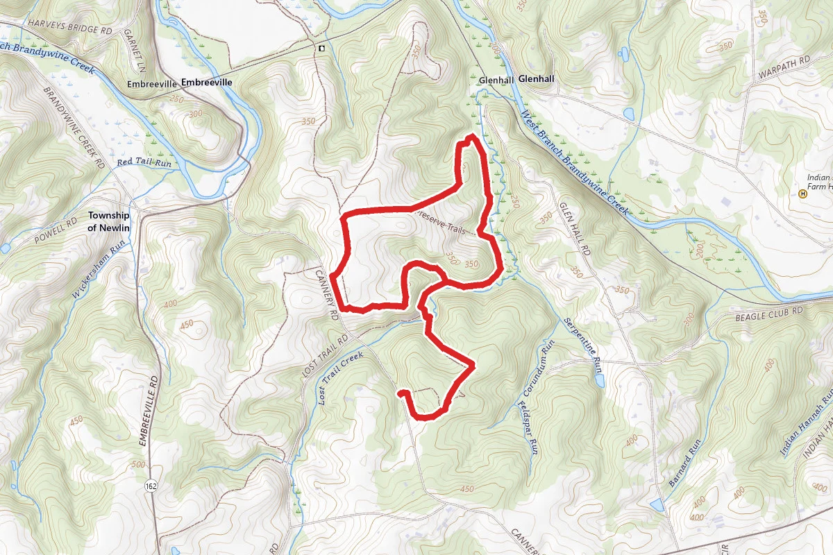 ChesLen Yellow Loop
