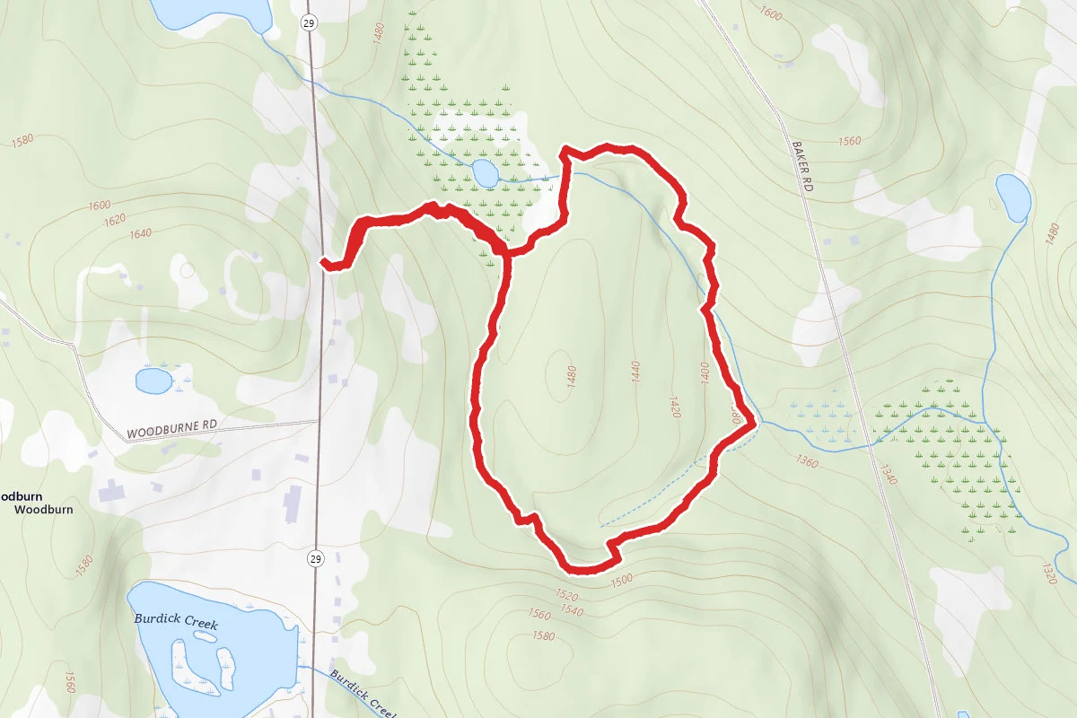 Hemlock Loop