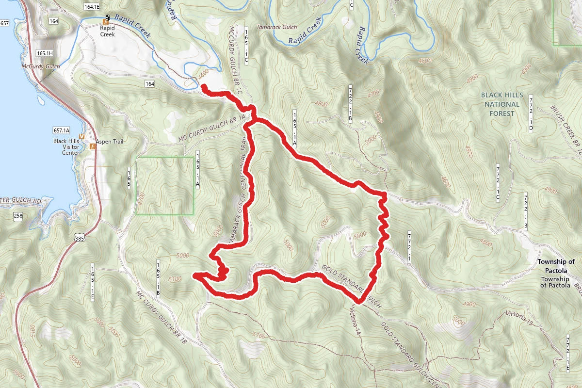 Tamarck Loop