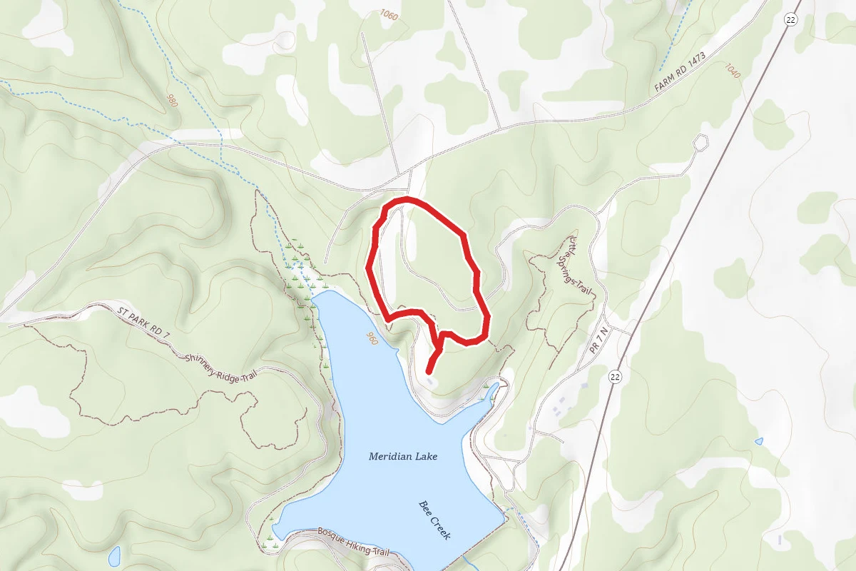 Little Forest Junior Trail