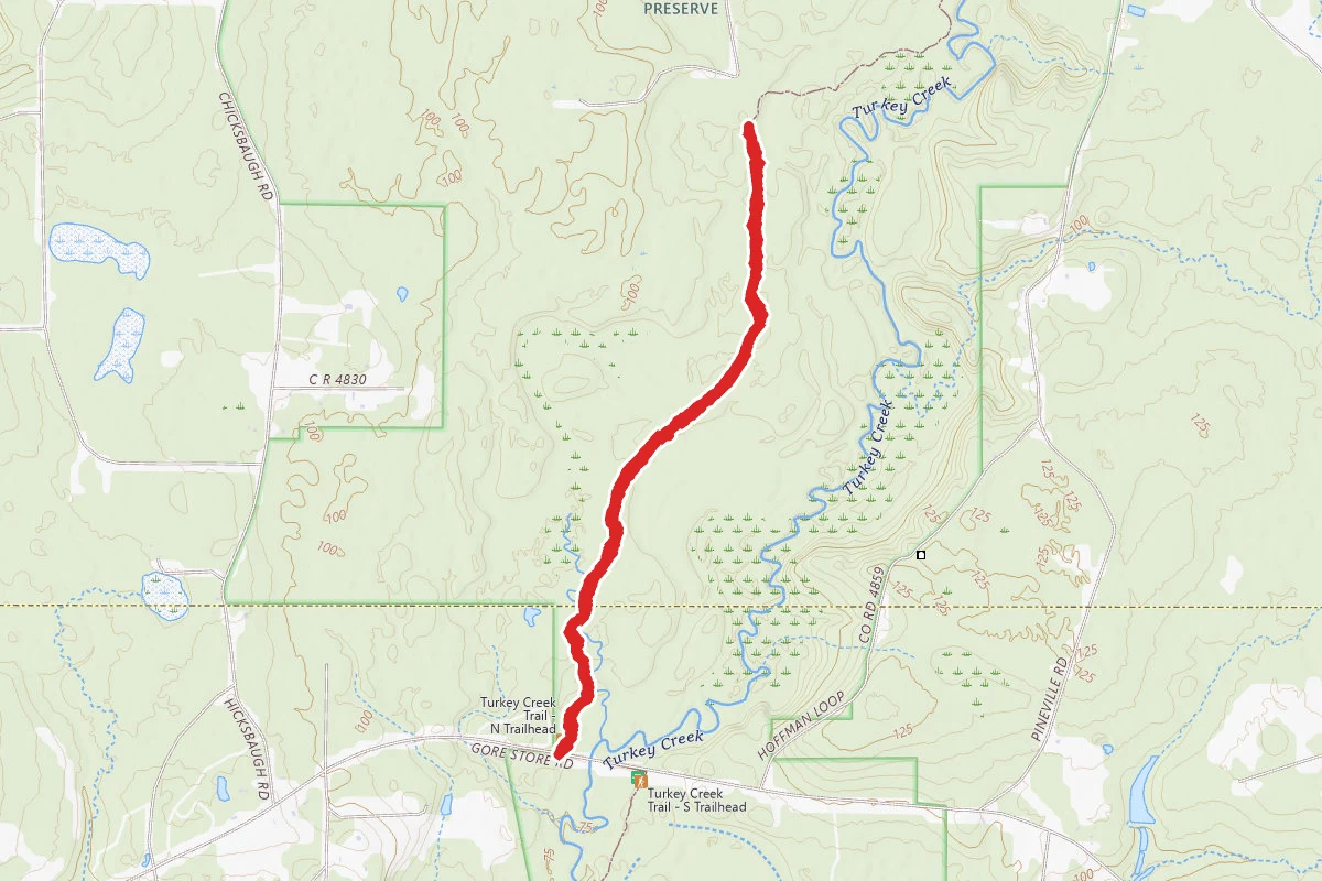 Big Thicket - Turkey Creek Trail