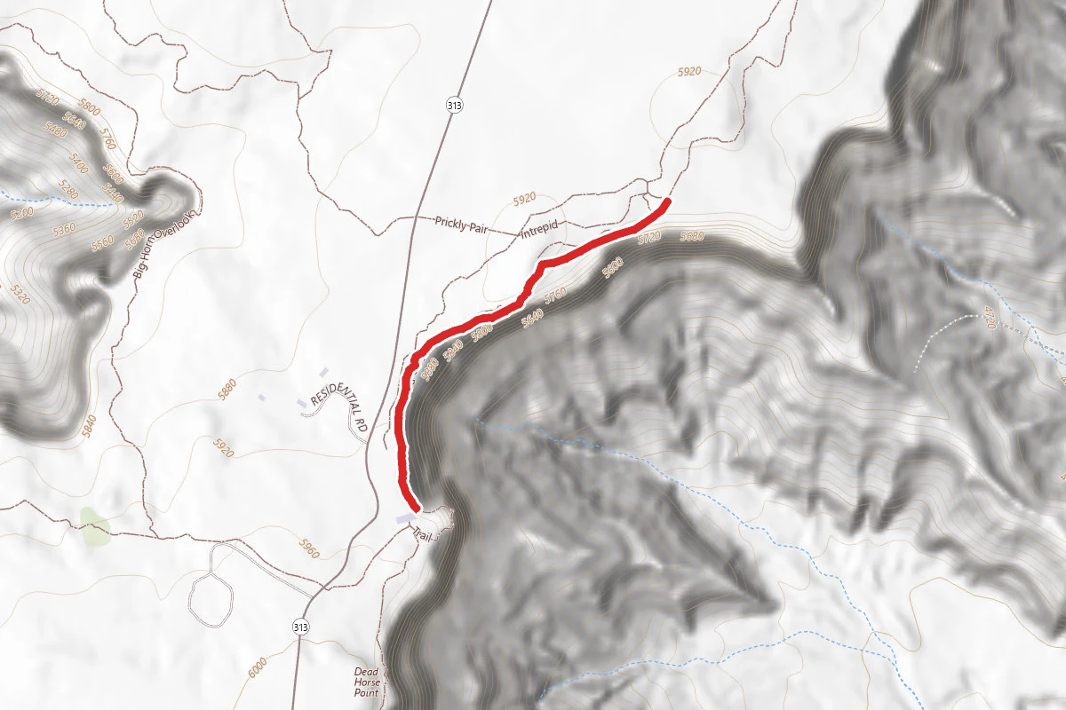 Colorado River Overlook Trail