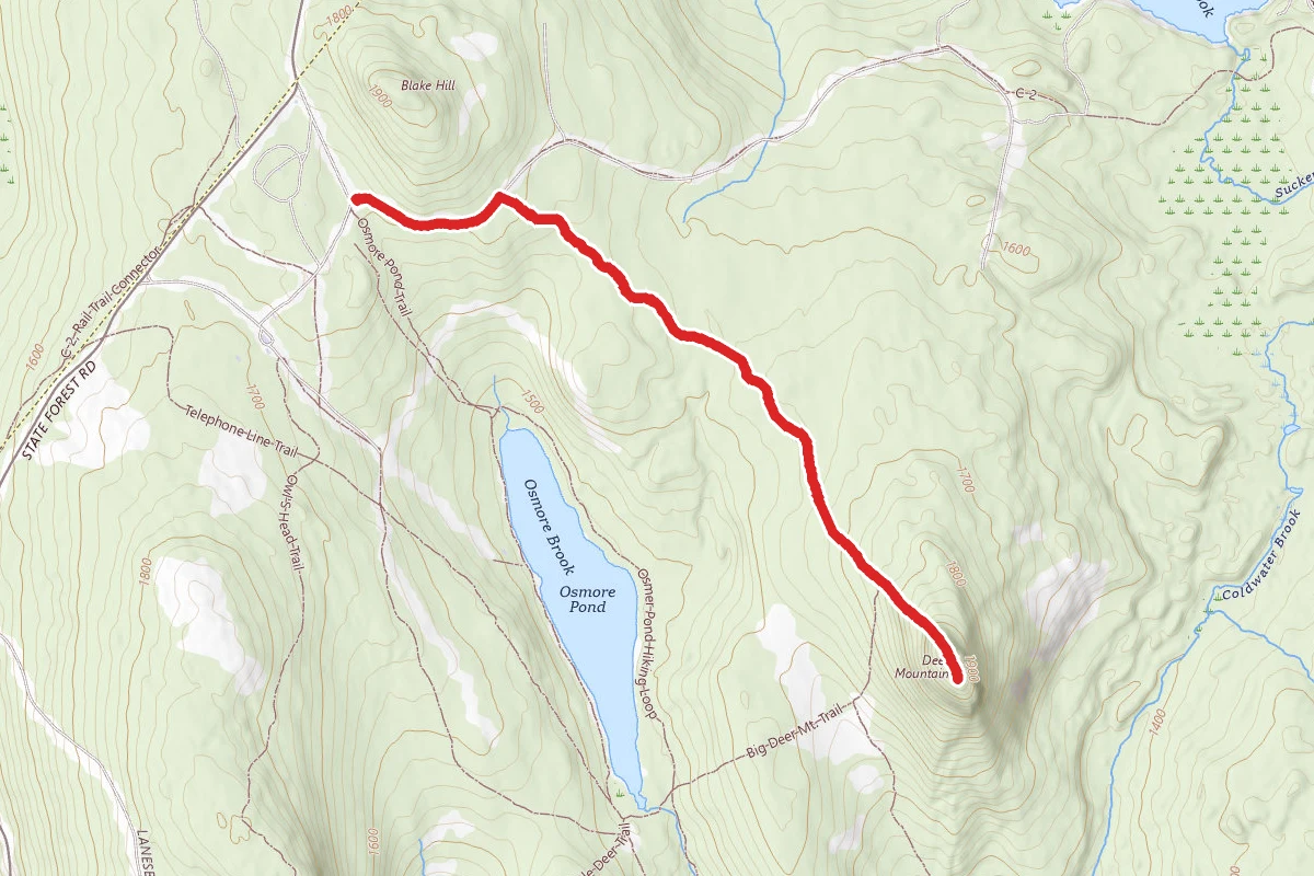 Deer Mountain