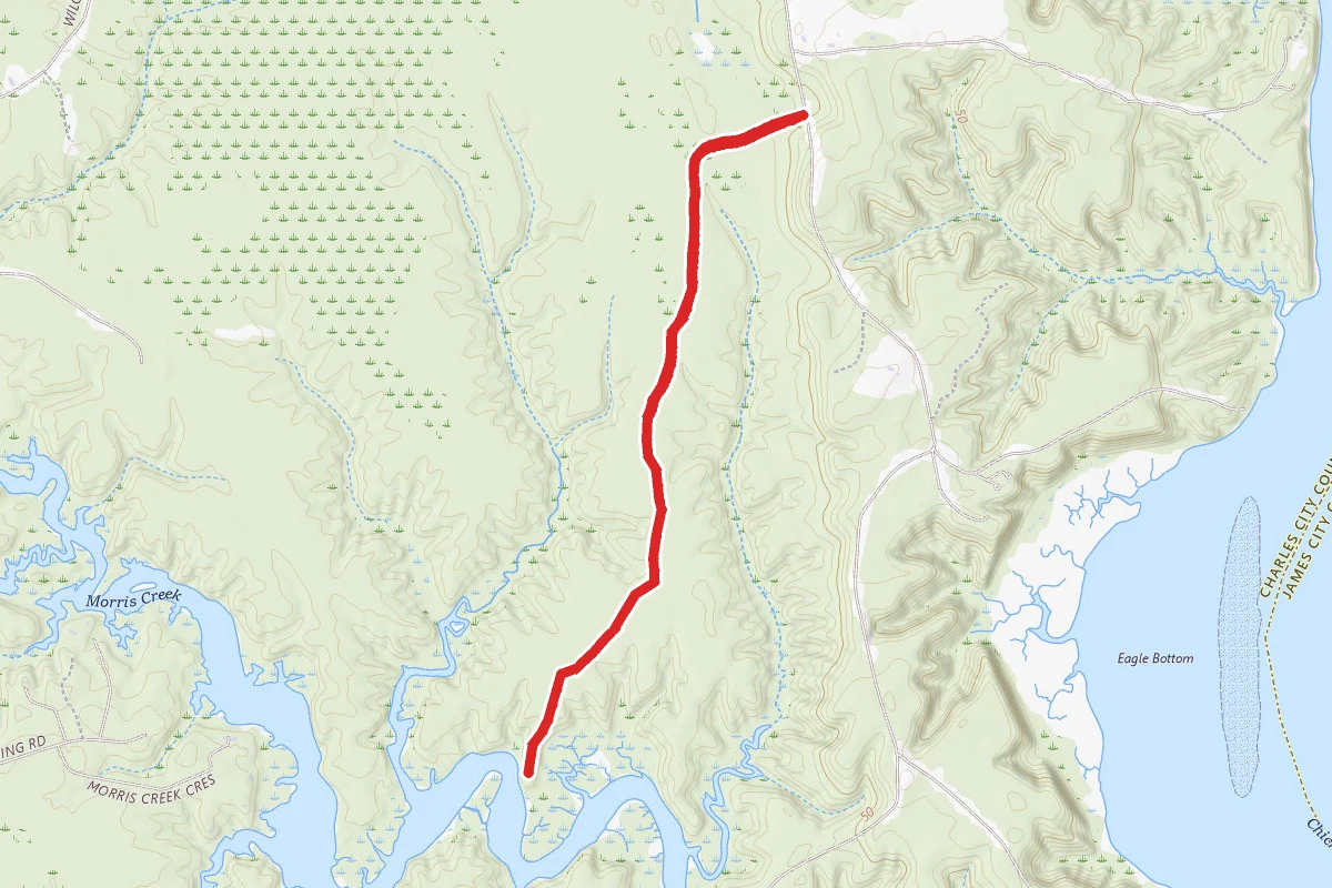 Chickahominy Wildlife Management Area Trail