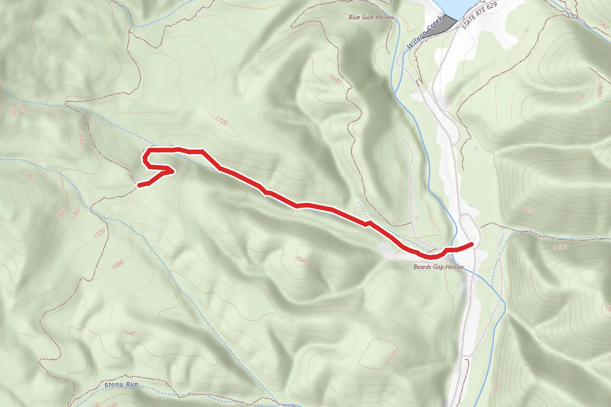 Beard's Gap Hollow Trail